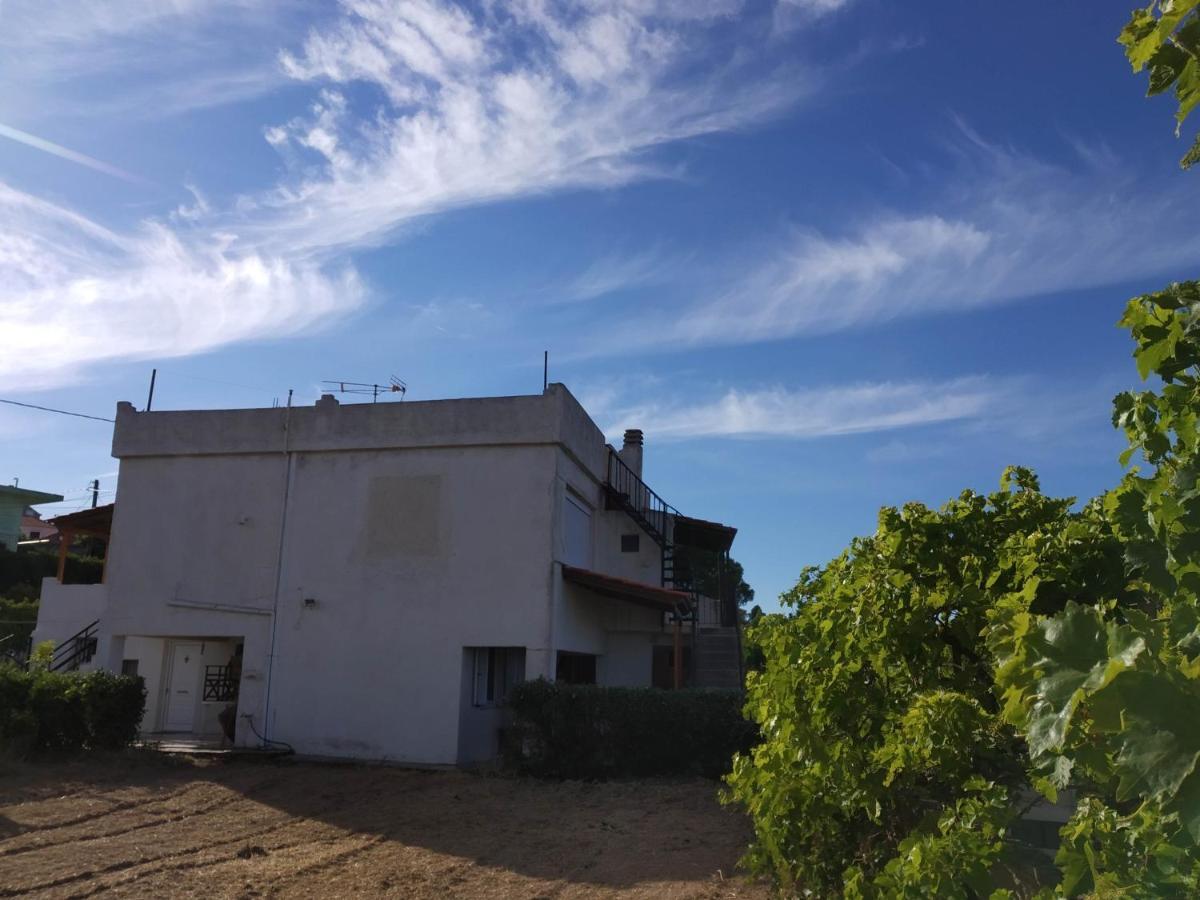 Ellina'S Home - Euboea Island Greece Oxilithos Exterior photo