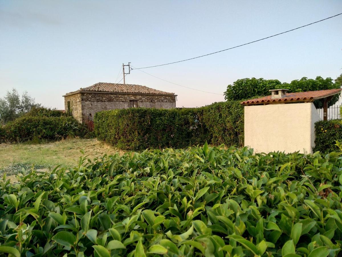 Ellina'S Home - Euboea Island Greece Oxilithos Exterior photo